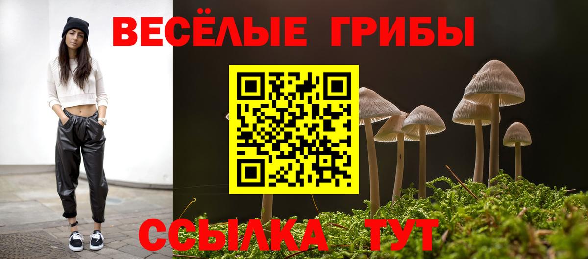 Псилоцибиновые грибы Psilocybe Саров